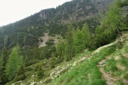 97 Dal Monte Campo vista verso il Sentiero dei Roccoli percorso